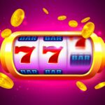Free Play Casinos