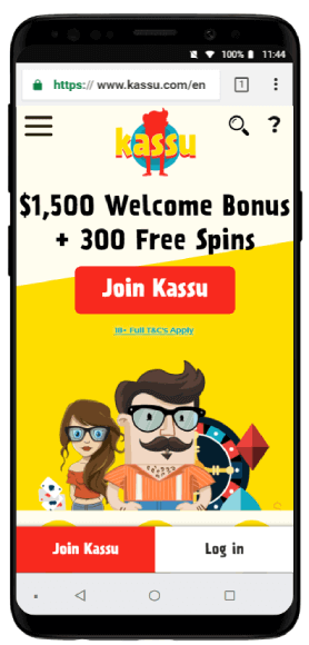 Kassu Casino Mobile Review