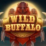 Wild Buffalo logo