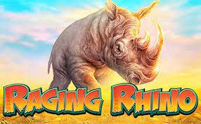 Raging Rhino