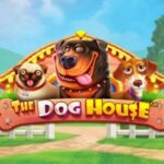 The dog house